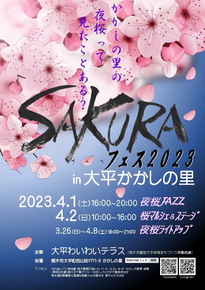 SAKURAフェス　夜桜ライトアップ