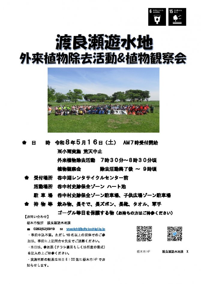 渡良瀬遊水地 外来植物除去活動＆植物観察会