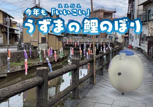 【栃木市】今年も「いいこい」うずまの鯉のぼり