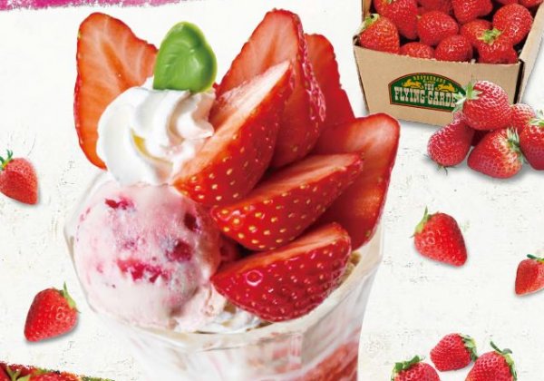 【期間限定！Strawberry Dessert】本日1/15は『いちごの日』です！大好評販売中のフライングガーデンのいちごはいかがですか？栃木...