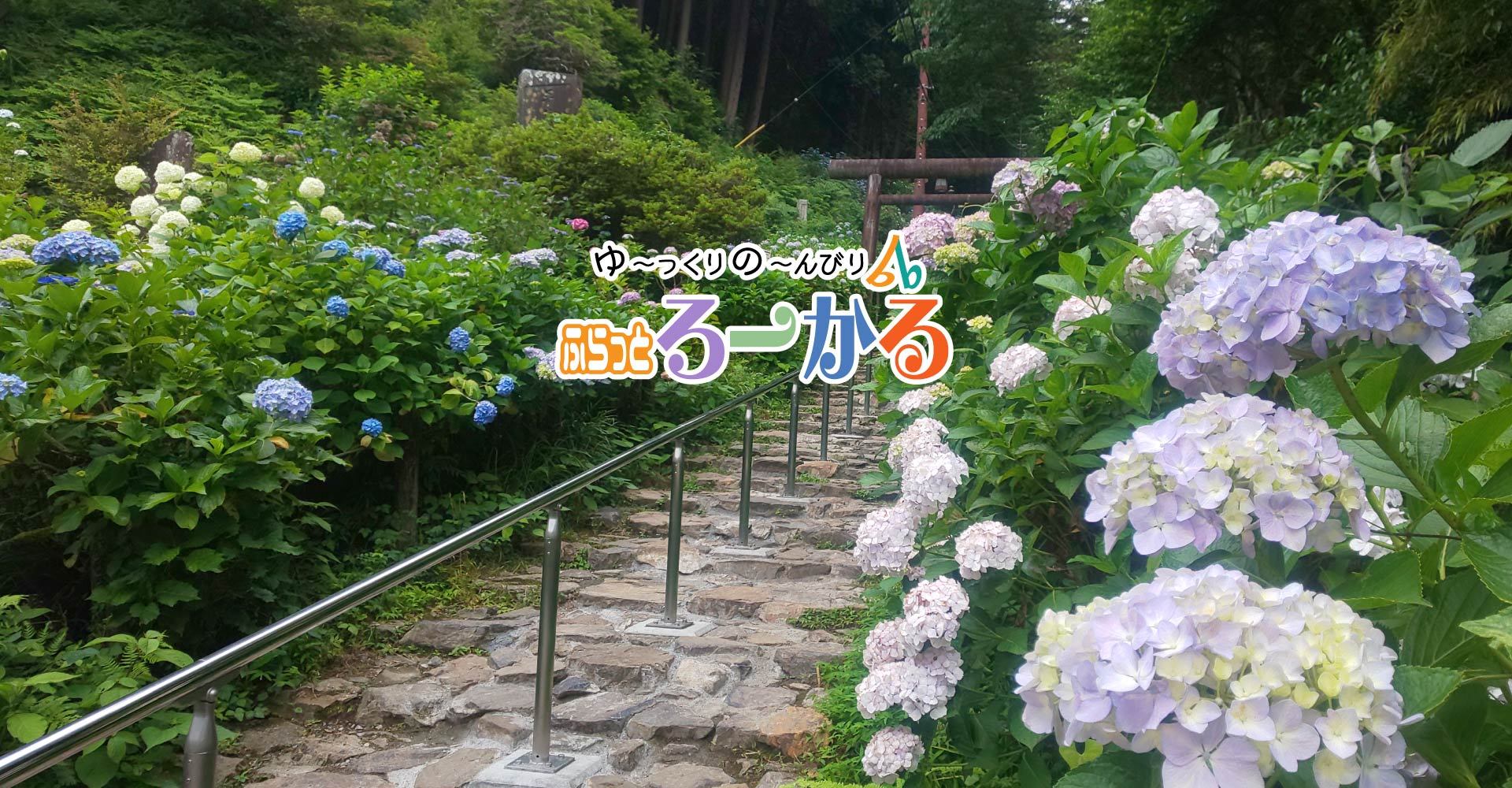 6月