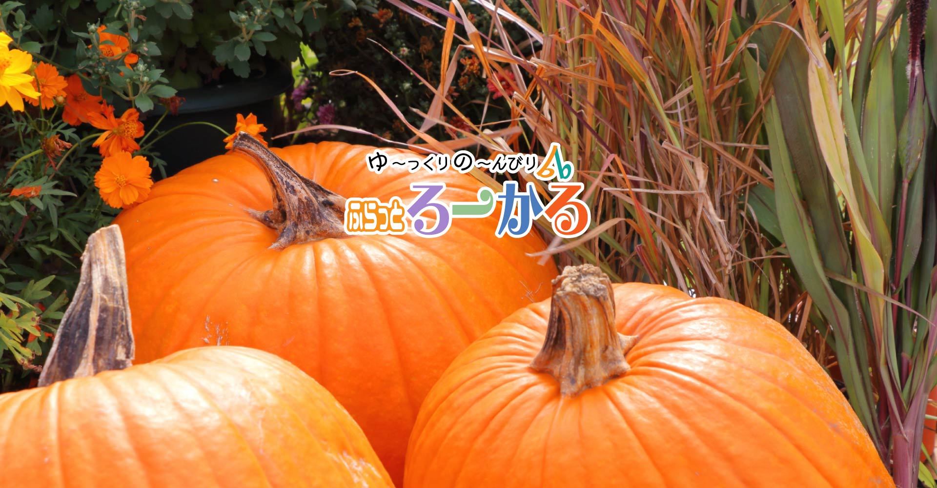 9・10月