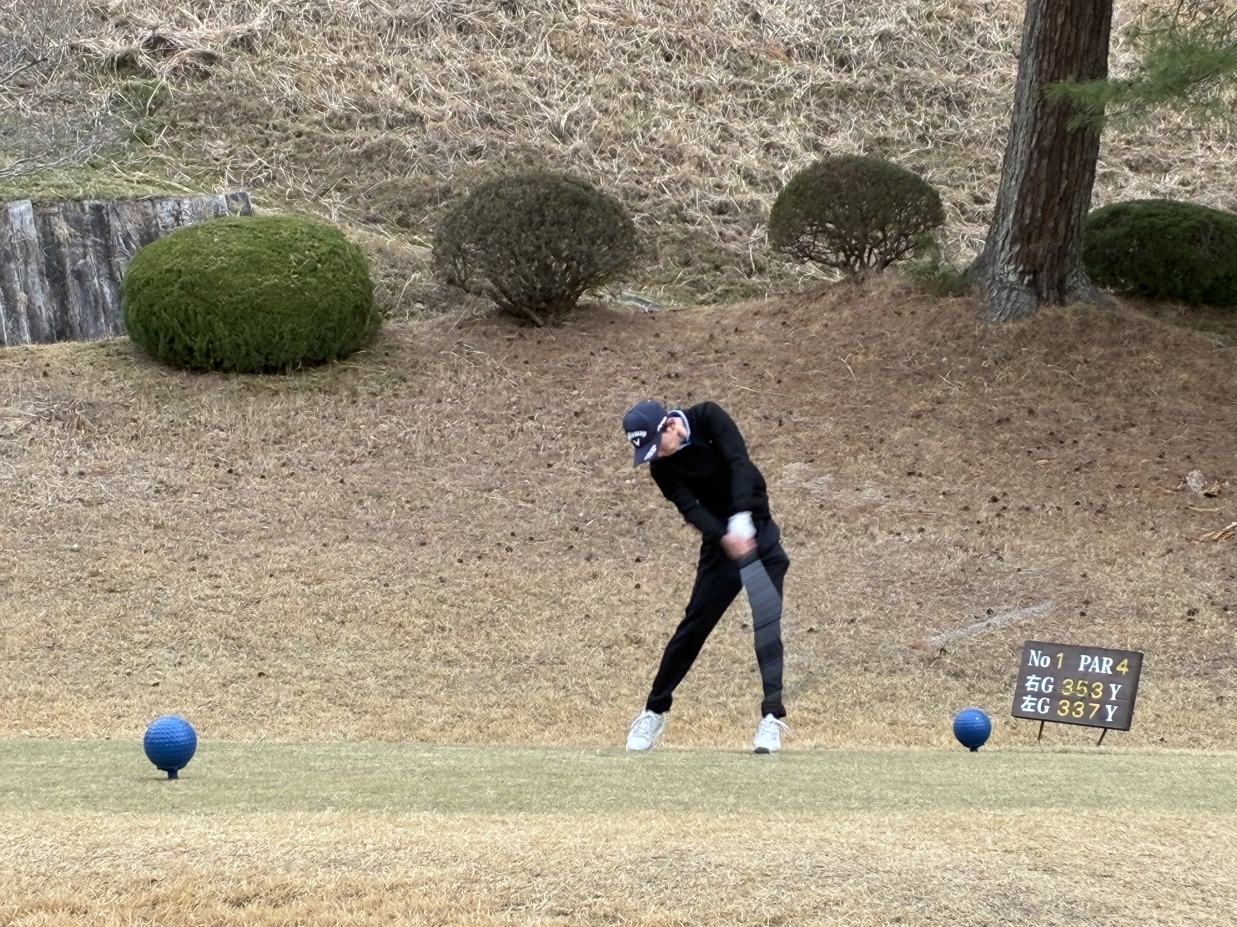 ジュニア大会画像