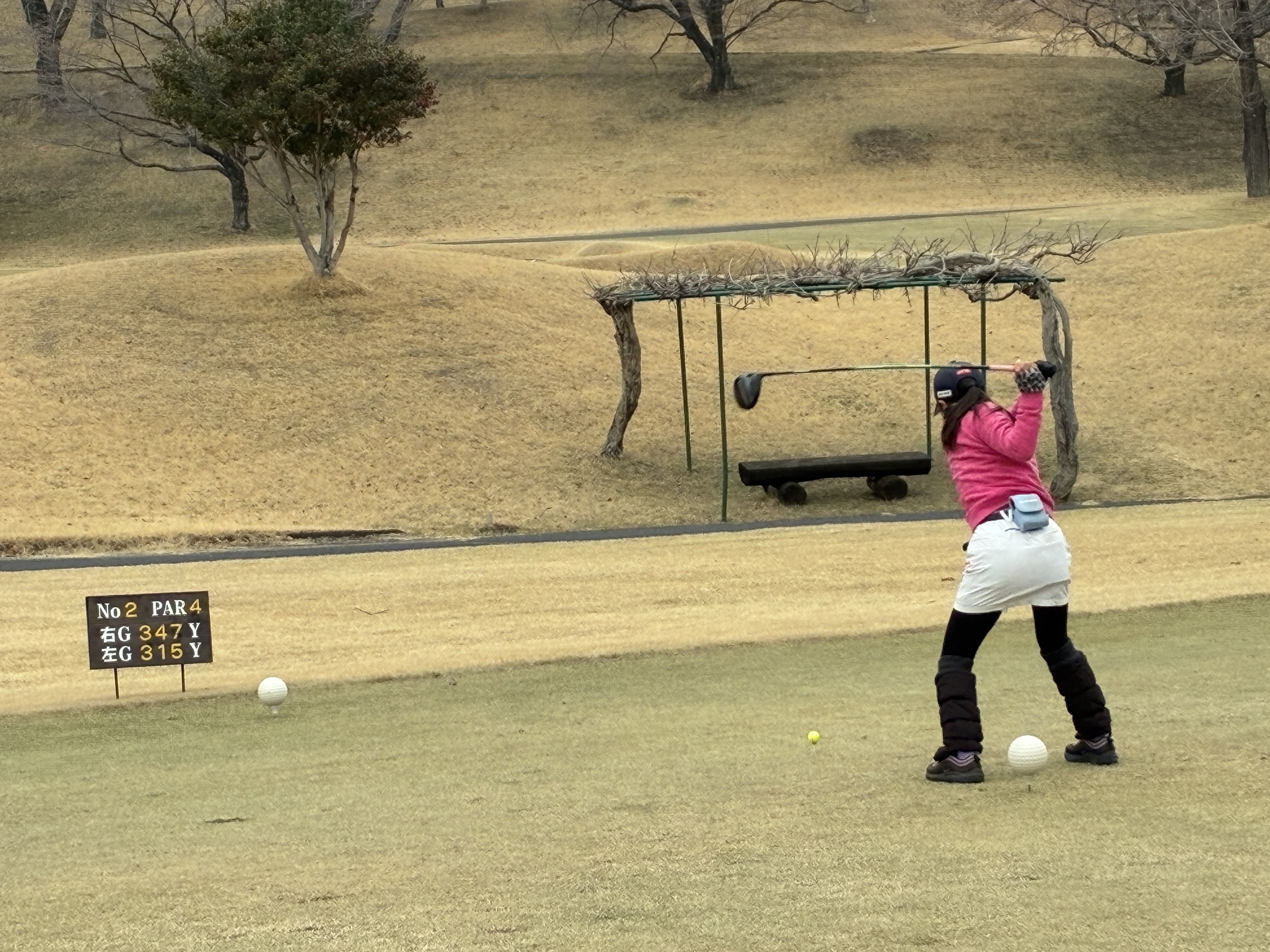 ジュニア大会画像