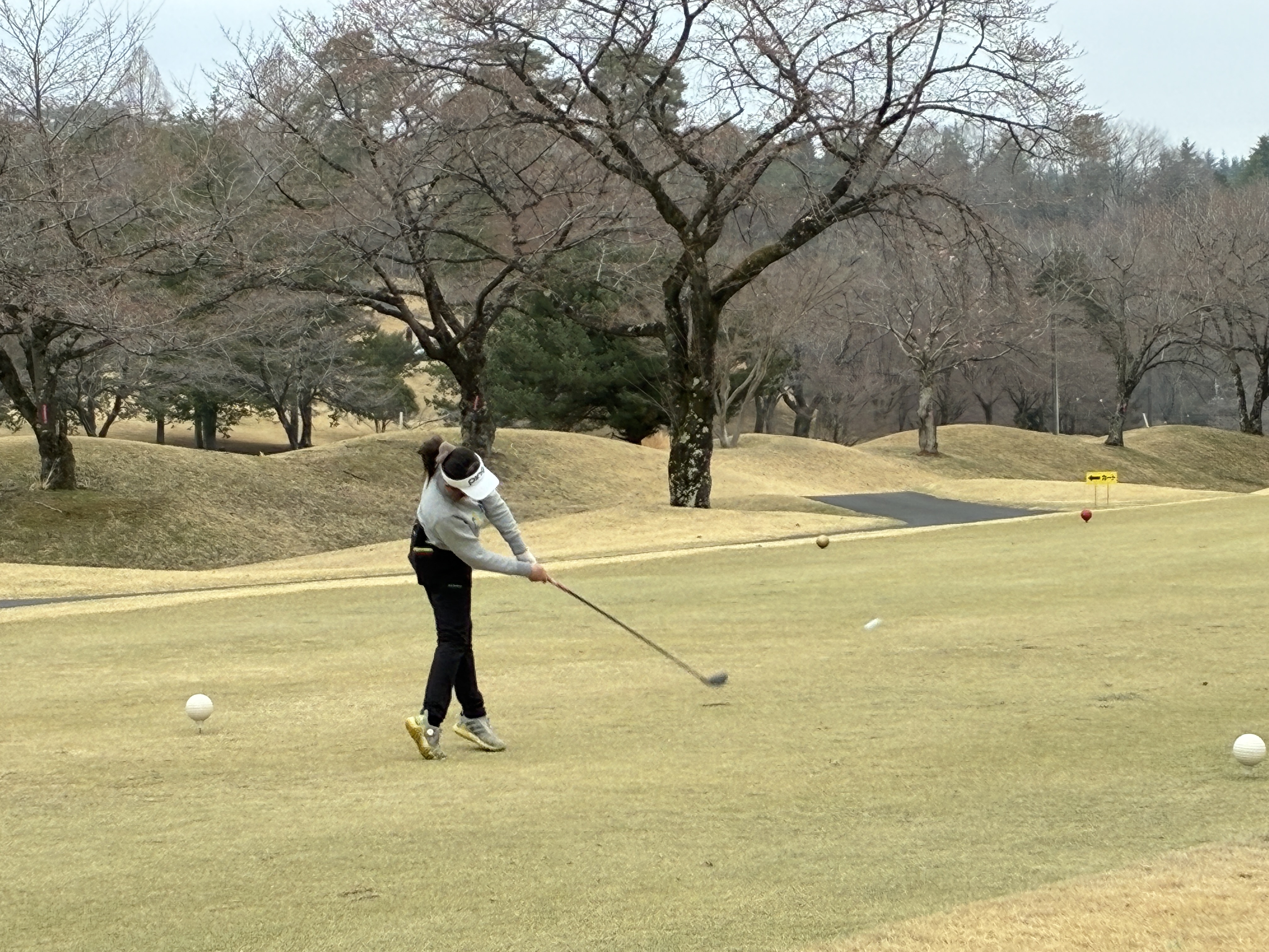 ジュニア大会画像