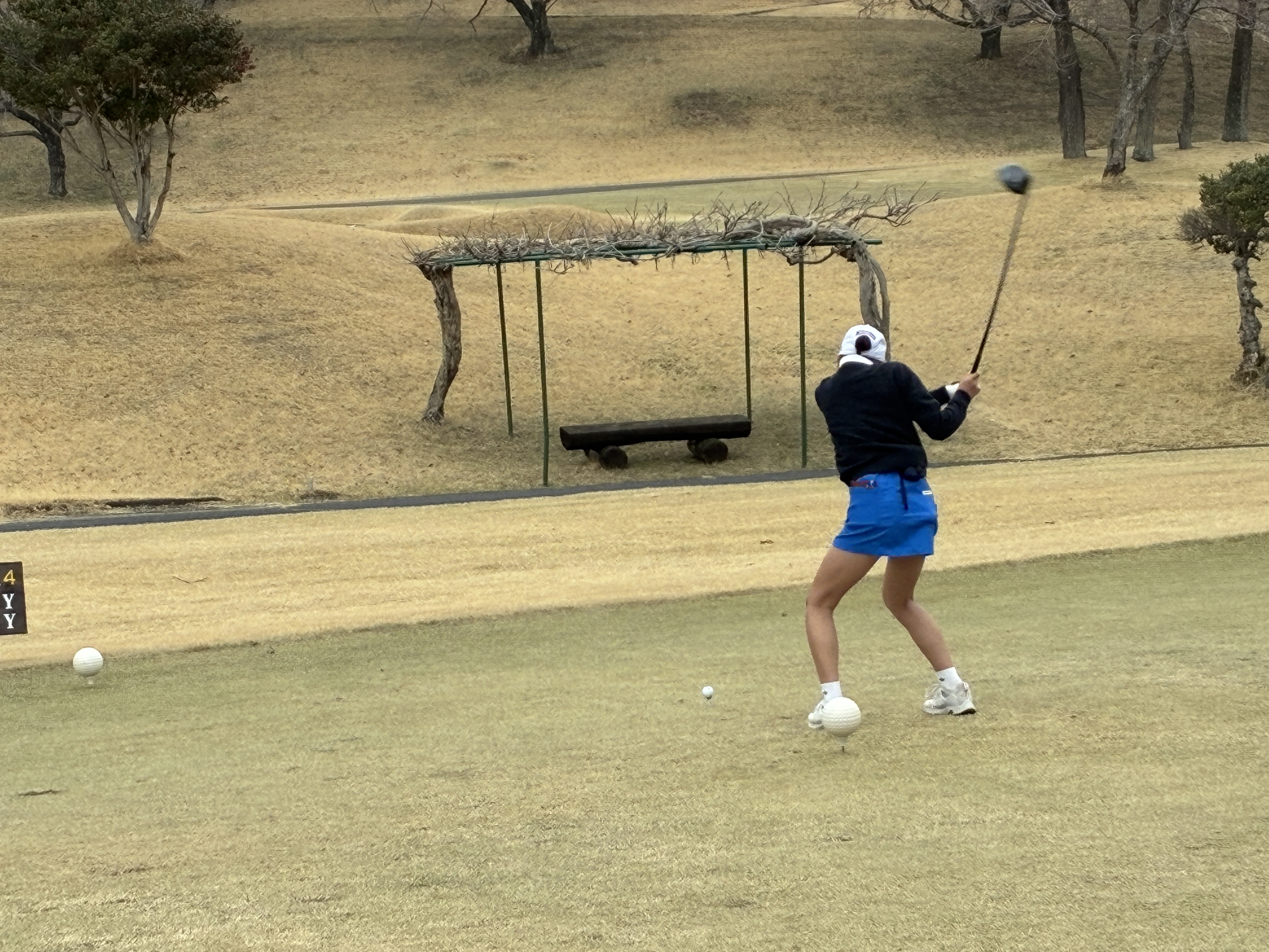 ジュニア大会画像