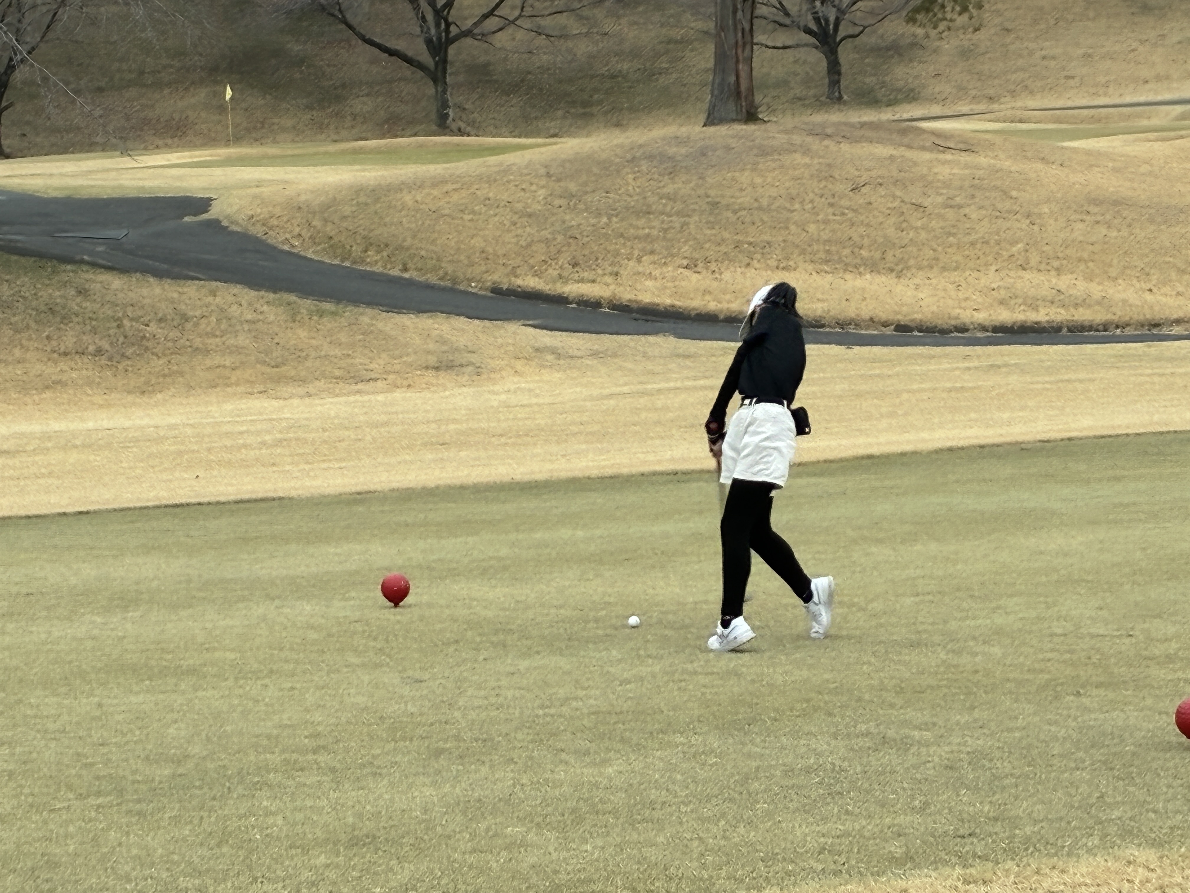 ジュニア大会画像