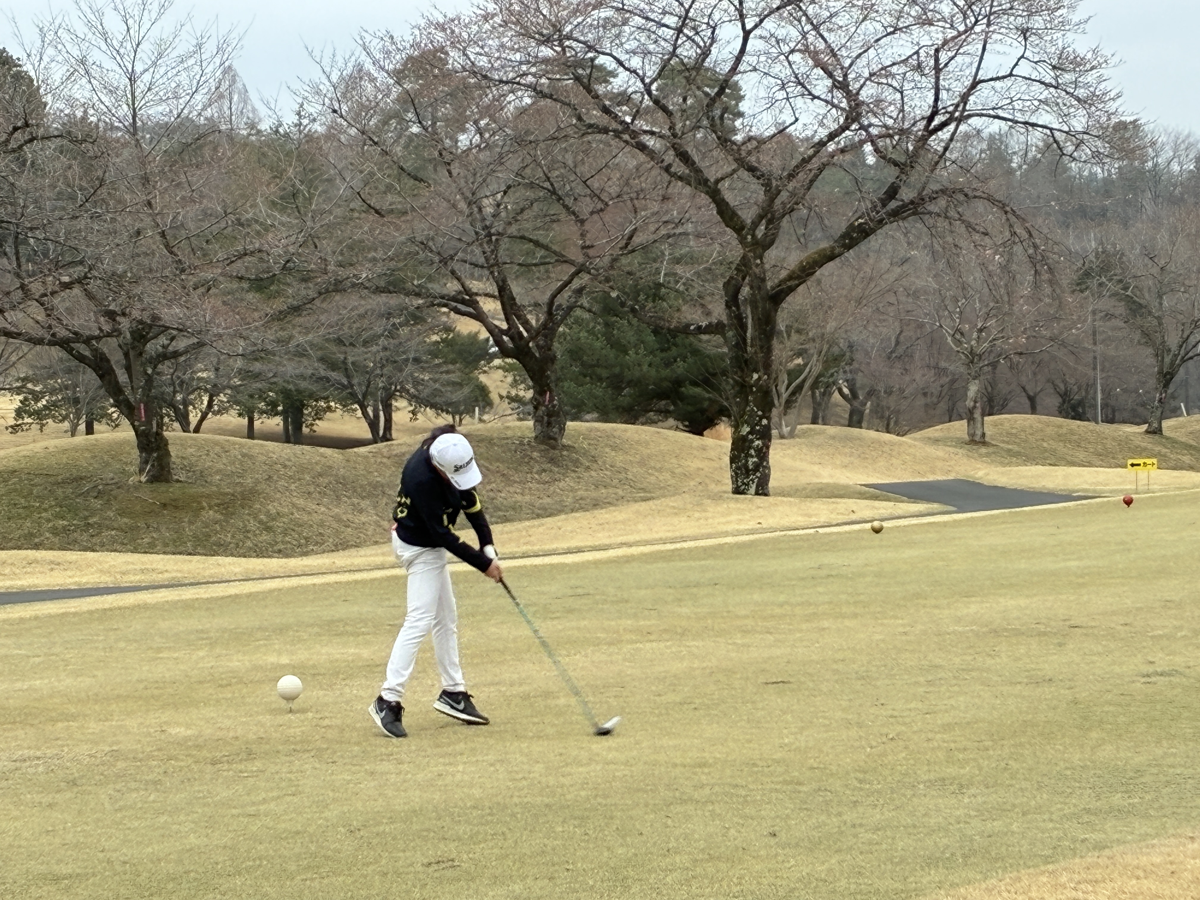 ジュニア大会画像