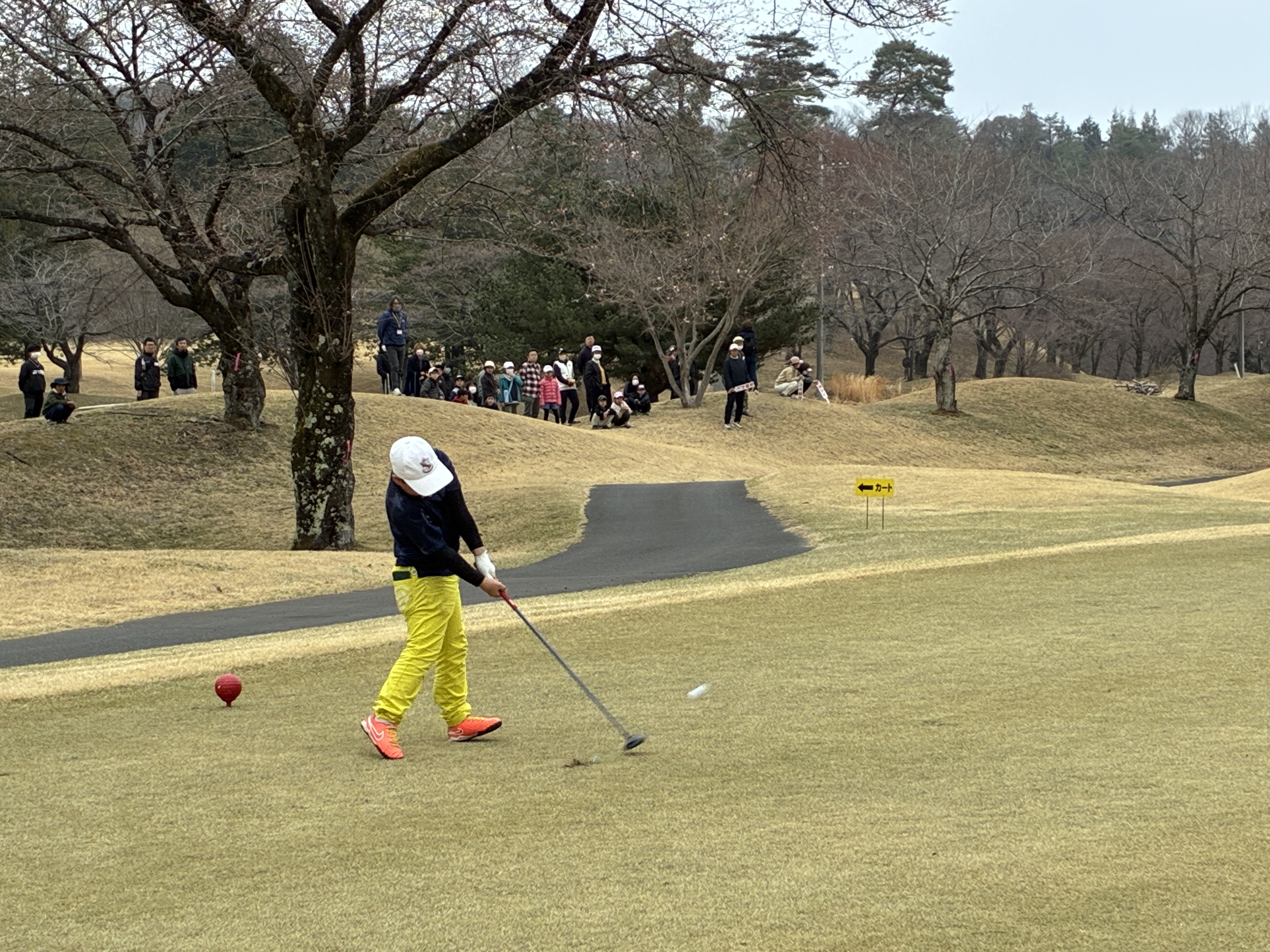 ジュニア大会画像