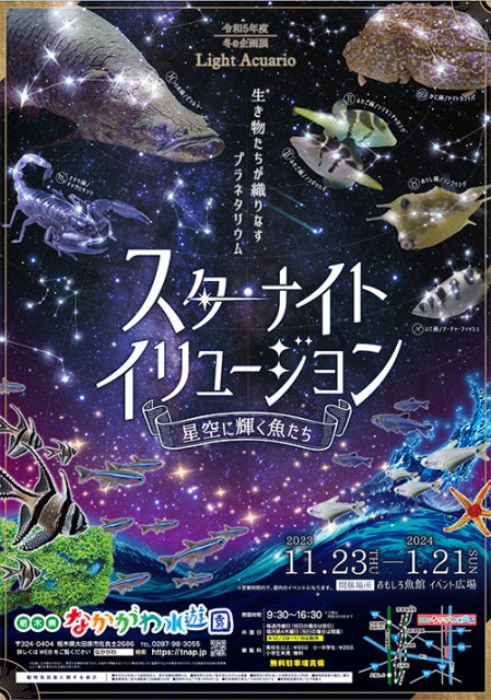スターナイトイリュージョン ～星空に輝く魚たち～｜イベント掲示板