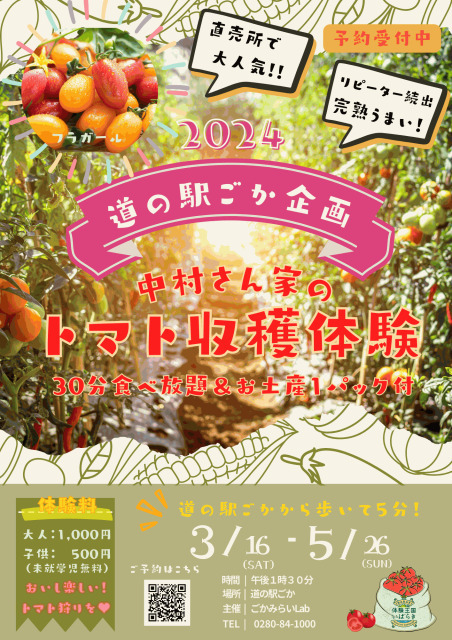 事前予約制】道の駅ごか 中村さん家のミニトマト収穫体験