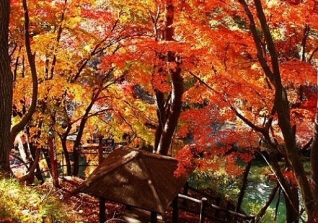 紅葉・見ごろ】諏訪峡｜イベント掲示板｜ふらっとろーかる
