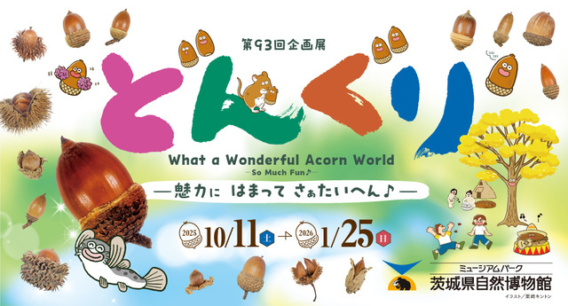 どんぐりページ event_img1_20250924085502291.jpg