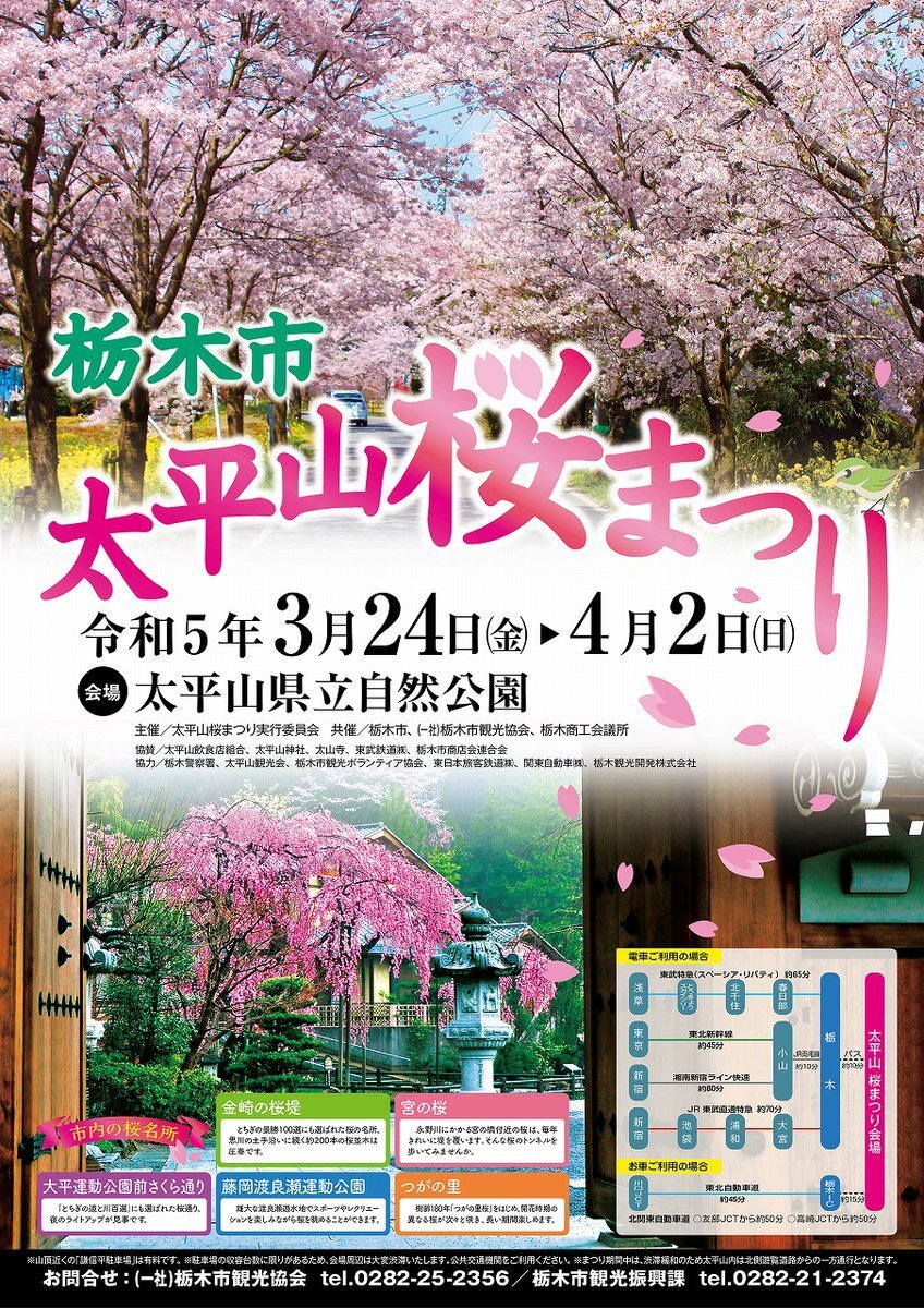 太平山桜まつり｜イベント掲示板｜ふらっとろーかる