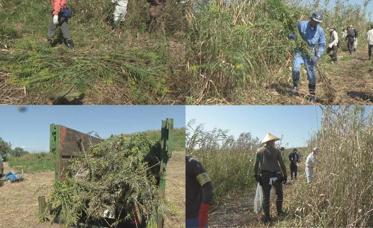 ryo！栃木市取りに来ていただける方 ryo！栃木市取りに来ていただける