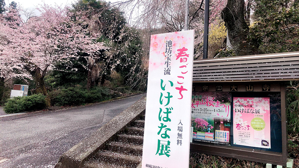 池の坊流 生花の手引 上下巻 小倉照月 著 大正5年1月10日21版 池の坊流 生花の手引 上下巻 小倉照月 著 大正5年1月10日21版