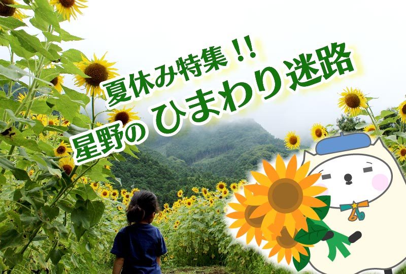夏休み特集！！星野のひまわり迷路